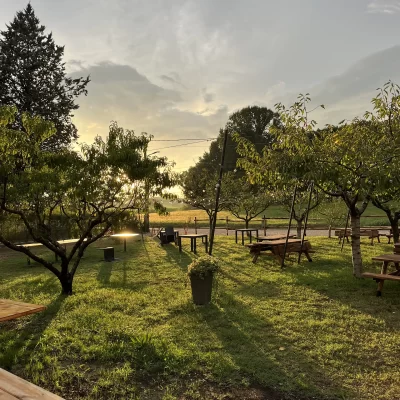 nel-giardino-di-alice